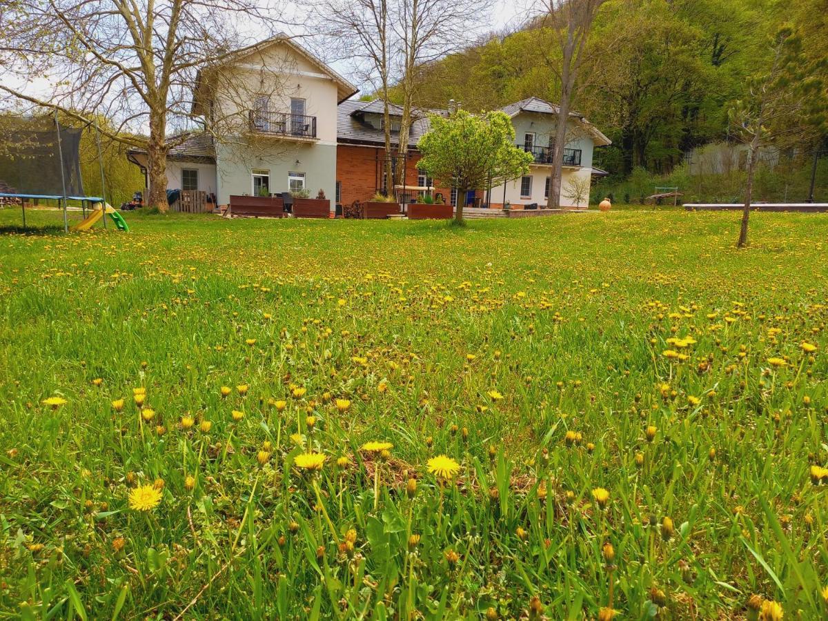Varga Villa Орфю Экстерьер фото