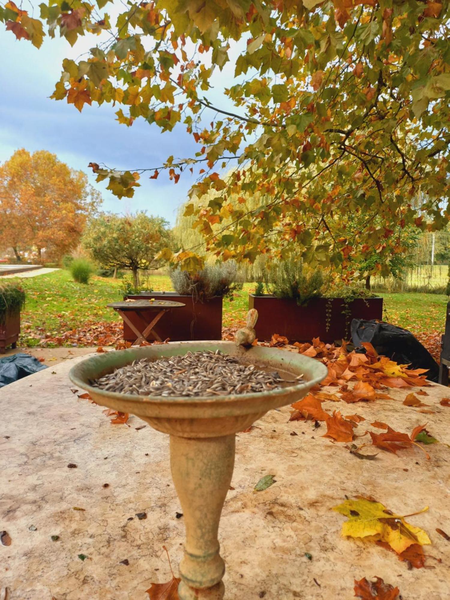 Varga Villa Орфю Экстерьер фото