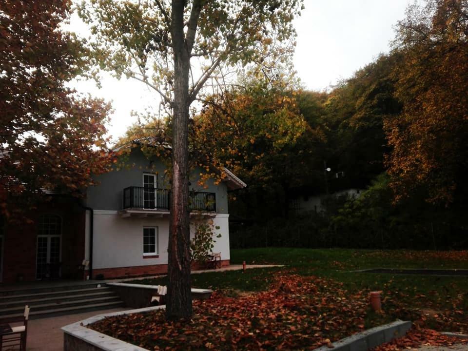 Varga Villa Орфю Экстерьер фото
